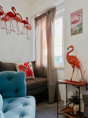 Flamingo
